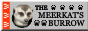 The Meerkat’s Burrow
